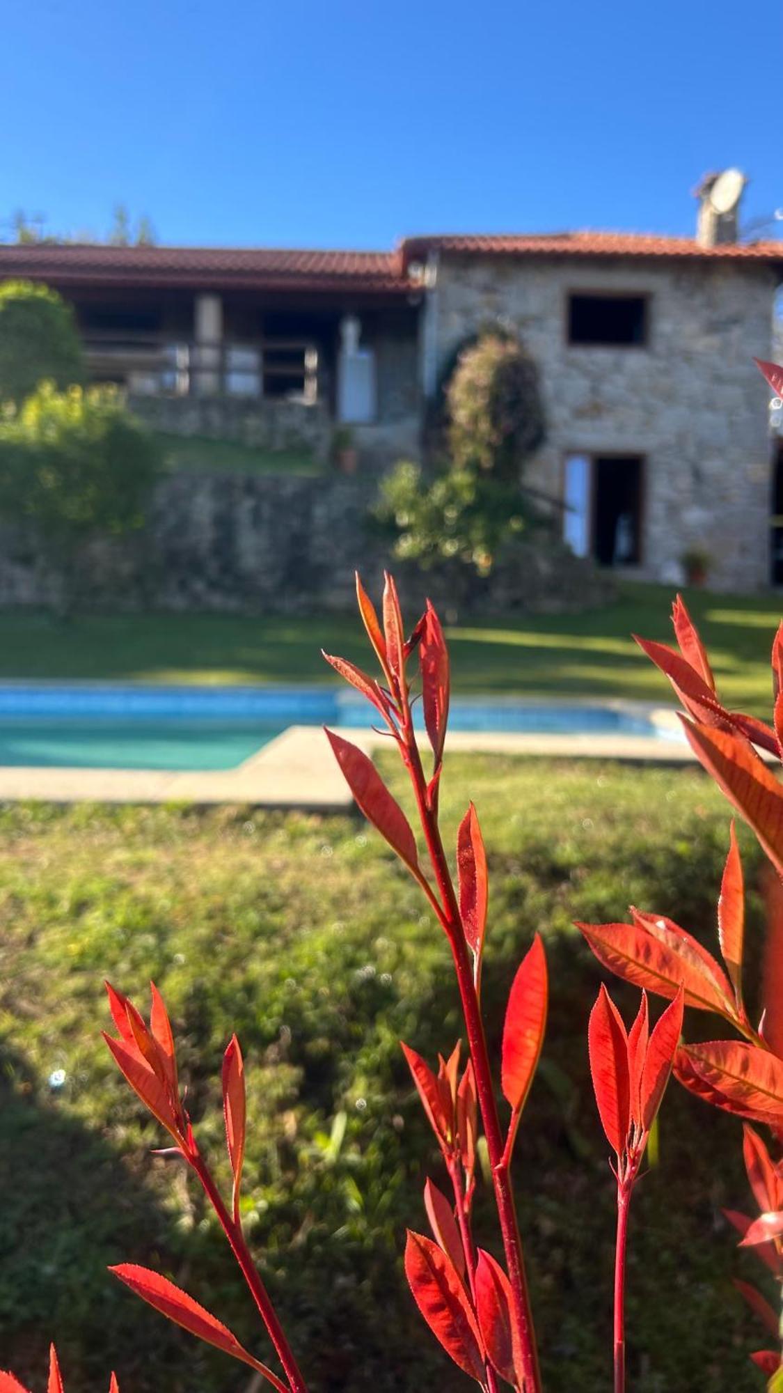 Casa Das Andorinhas Celorico De Basto Zewnętrze zdjęcie